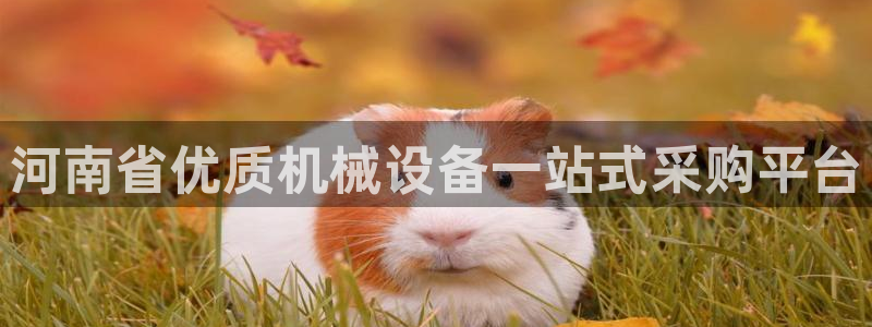 九游会官网页登录