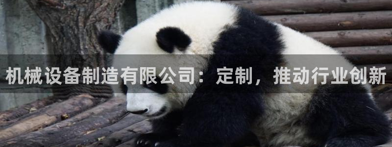 九游会倒闭
