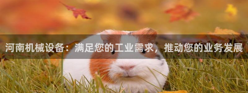 j9官网登录入口网页