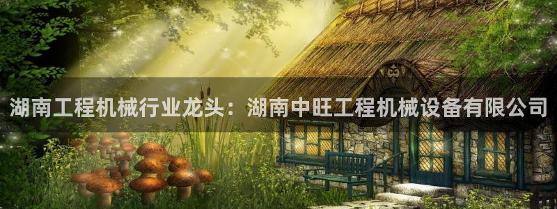 九游会ag首页