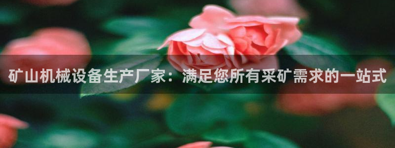 j9.cn