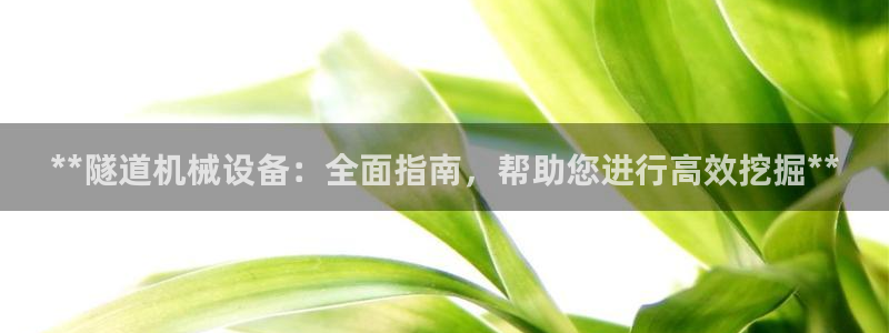 九游会官网老哥俱乐部