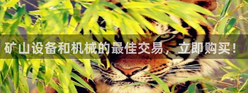 九游会跟ag是怎么一回事