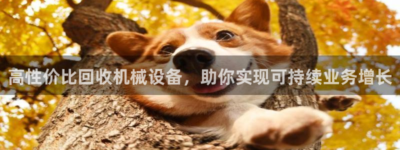 九游会在