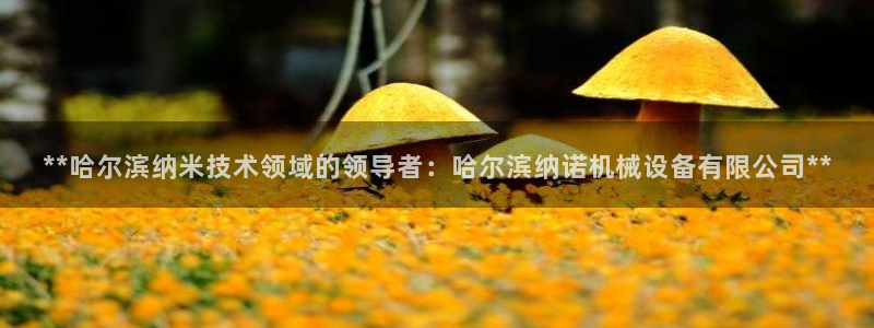 九游会j9官网网站