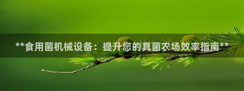 九游会官方在线平台