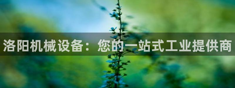 九游会集团币圈