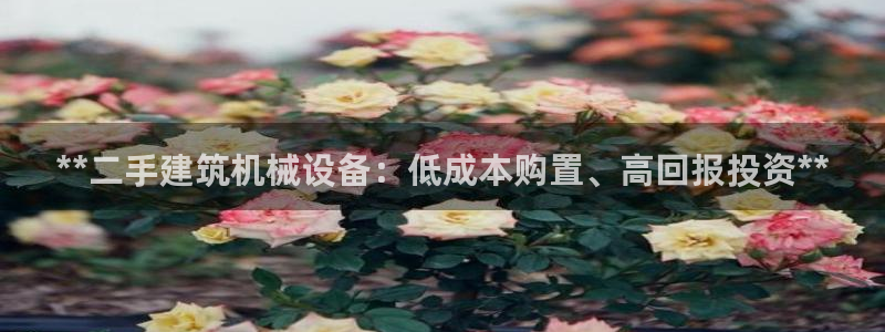 九游会国际厅登录 - j9九游会首页登录新版