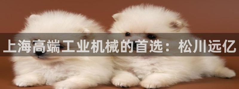 九游会注册网址