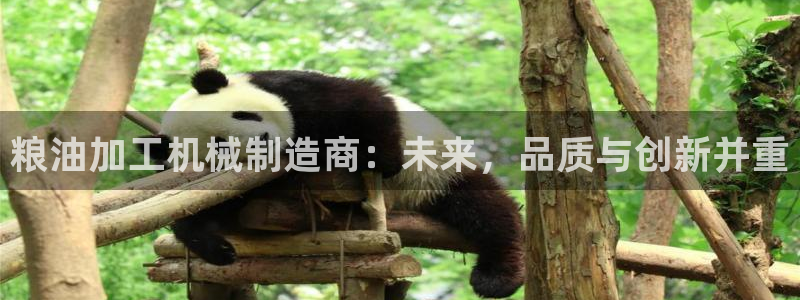 九游会官网APP平台