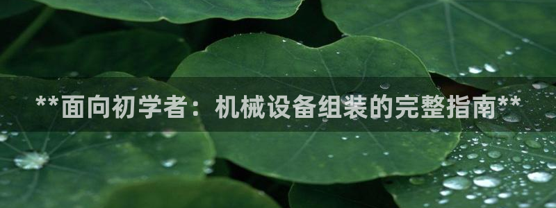 j9九游会首页入口试