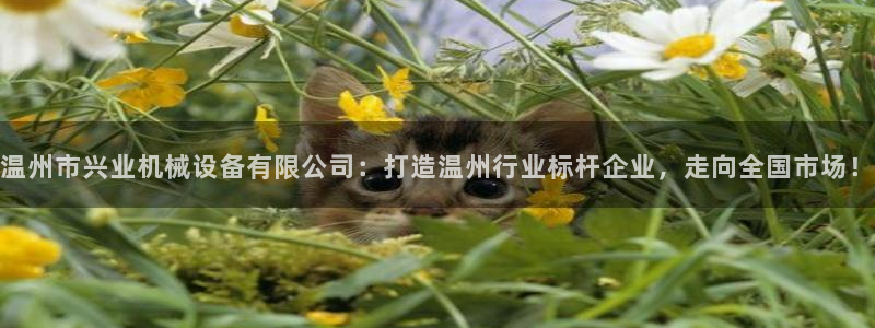 九游J9官方网站