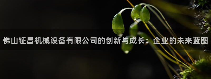 九游会集团登陆