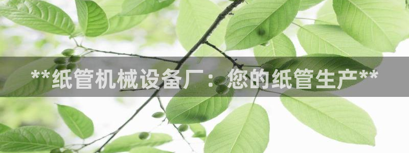 J9九游会登陆旧版