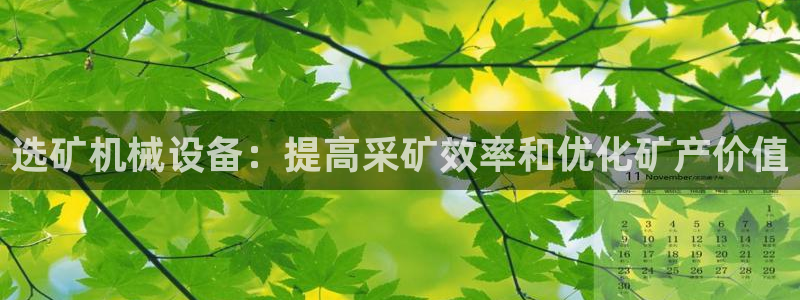 九游会官网入口ag亚洲