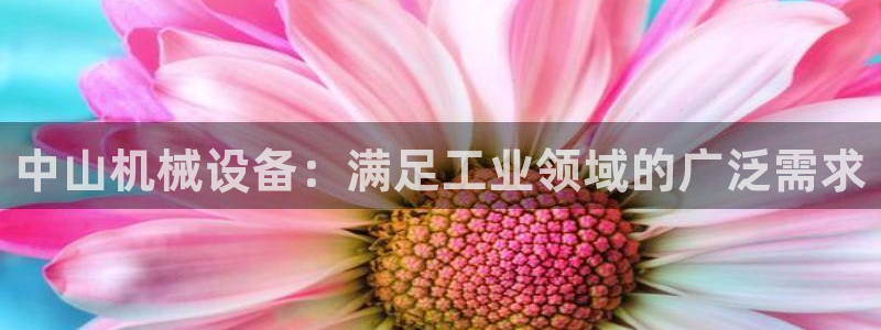 九游会官方旗舰店