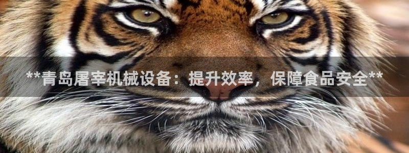 ag九游会app下载版官网正版