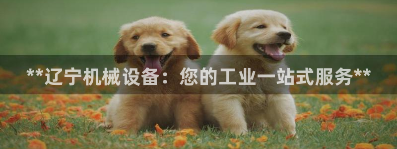 j9九游会