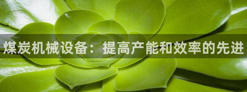 j9九游会导航