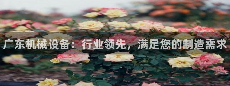 九游会网址jn109