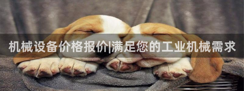 j9九游会真人游戏第一品牌