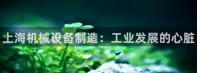 j9九游会官网