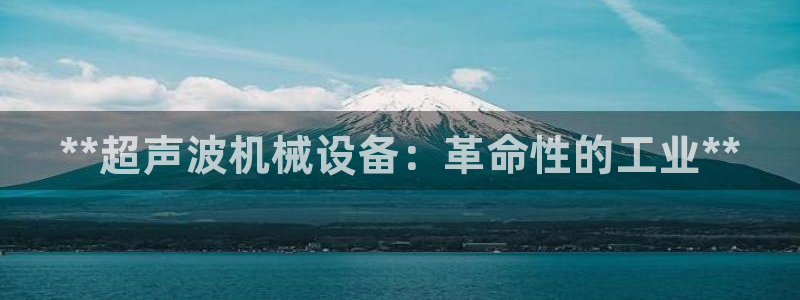 九游会ag网址大全专业版