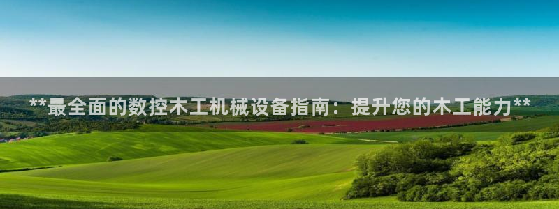 九游会老哥