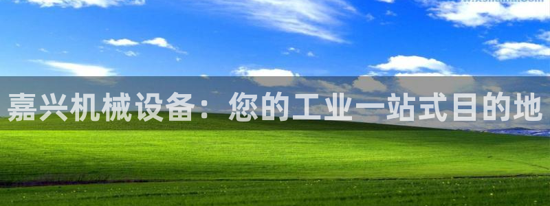 ag九游会客户端