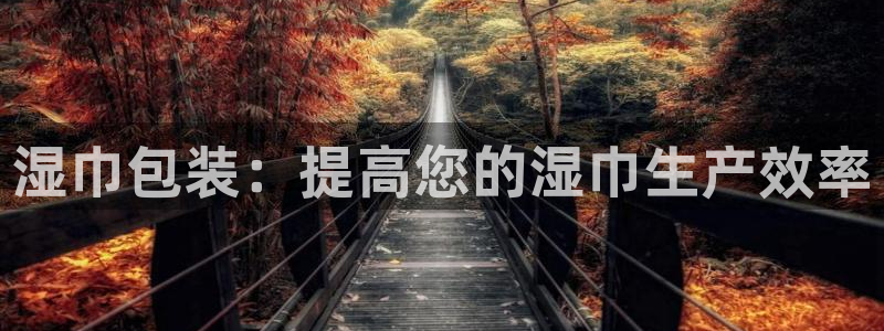 九游会ag私享