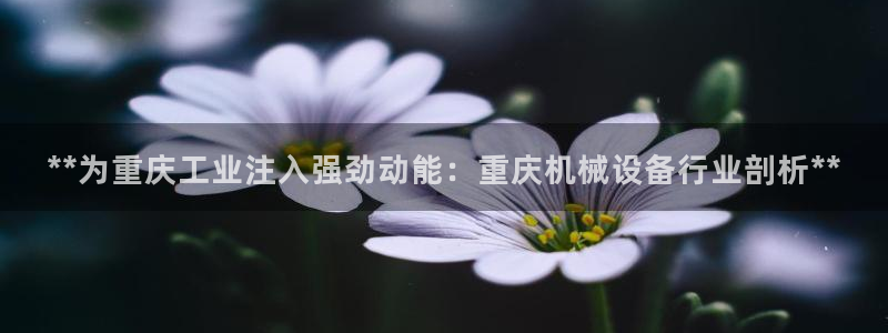 九游会是不是黑网