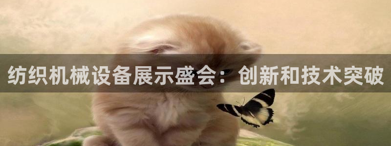 j9官网豪华游
