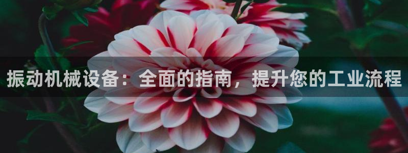 九游会 a g
