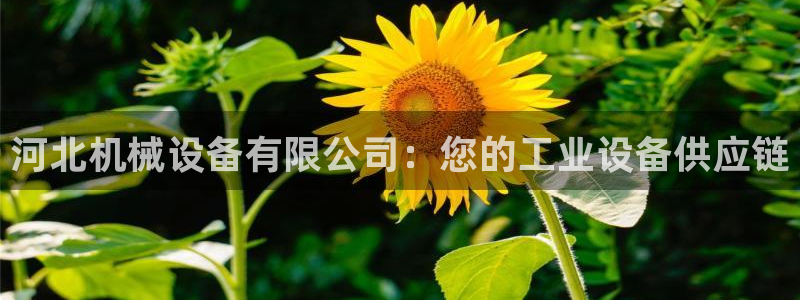 九游j9登陆