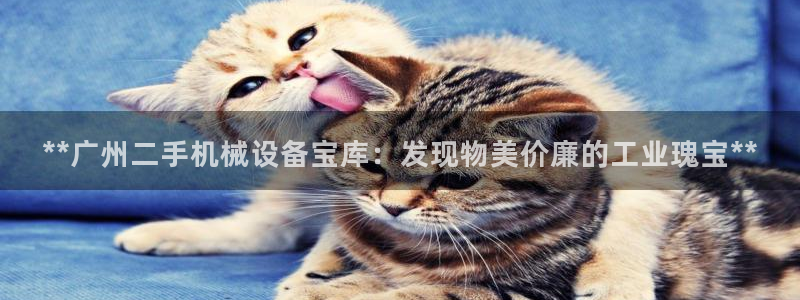 九游会是什么