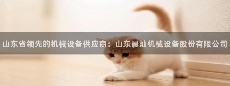 j9九游会