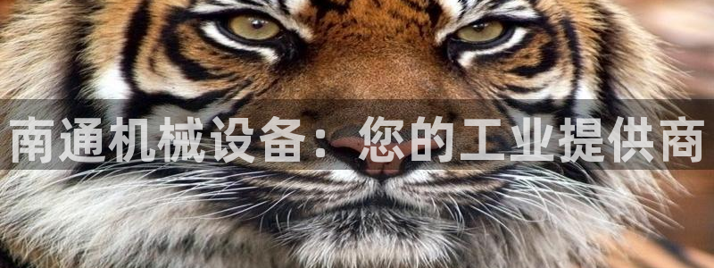 九游会官网