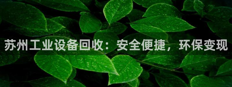 ag老帅百度百科