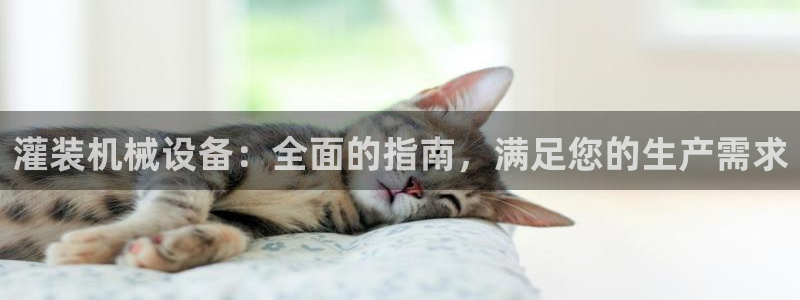 ag九游老哥俱乐部