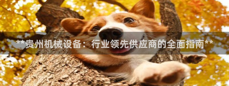 九游会员官网真人游戏第一品牌