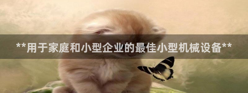 九游会j9官网登陆