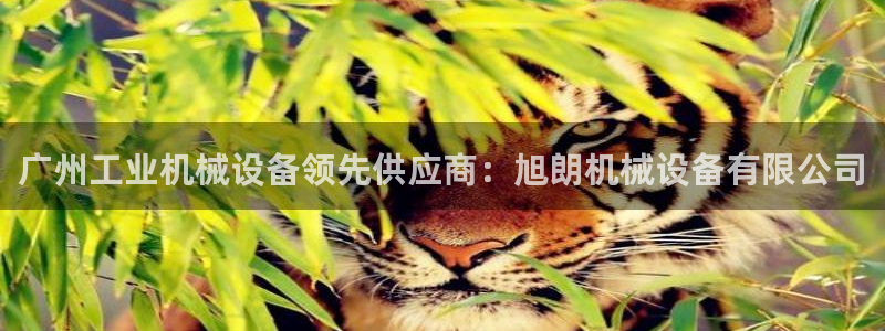 九游会在线官方网站