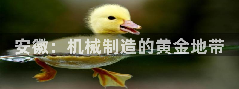 九游会在线官方下载吗