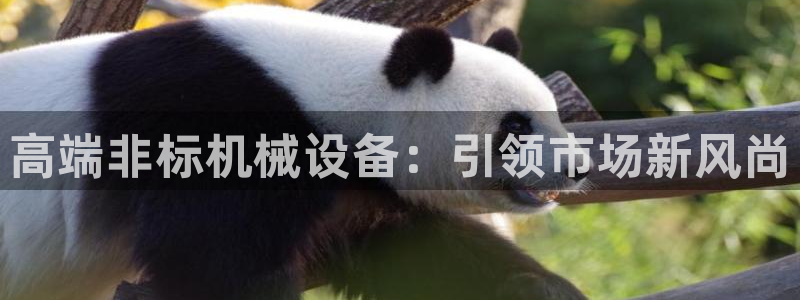 九游会电话：高端非标