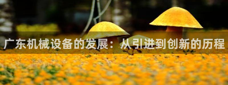 j9九游会登陆入口